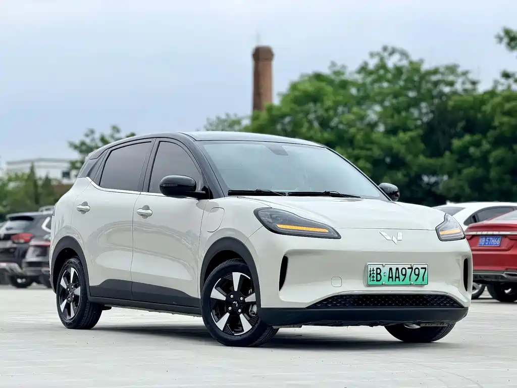 Wuling Bingo PLUS 2024