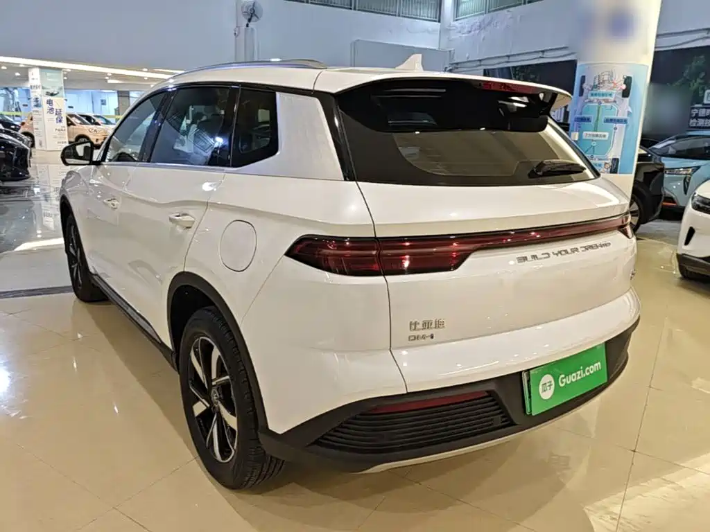 BYD Pro New Energy — миниатюра 5