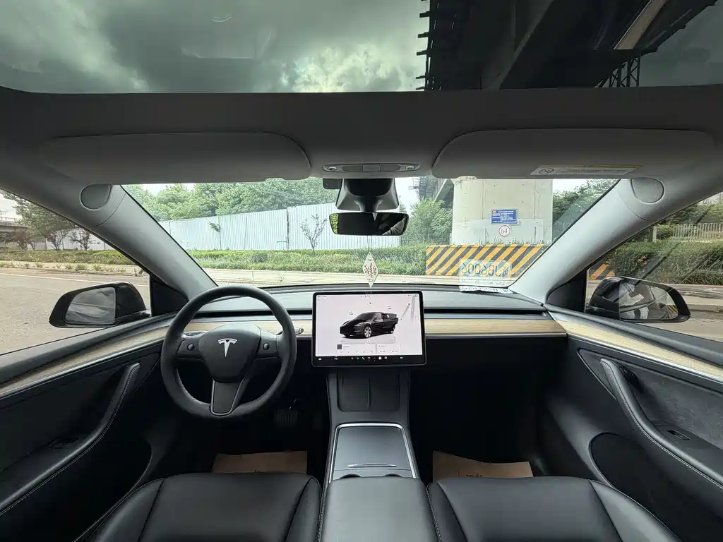 Tesla Model Y — миниатюра 5
