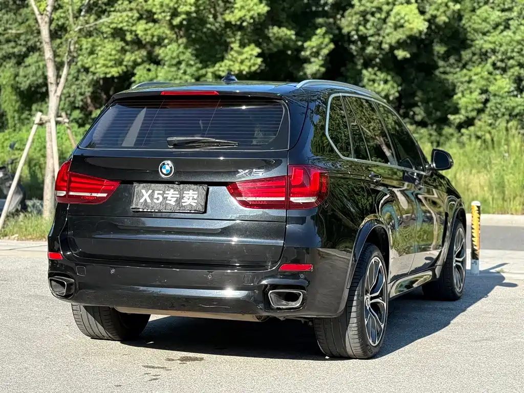 BMW X5 (Import) — миниатюра 4