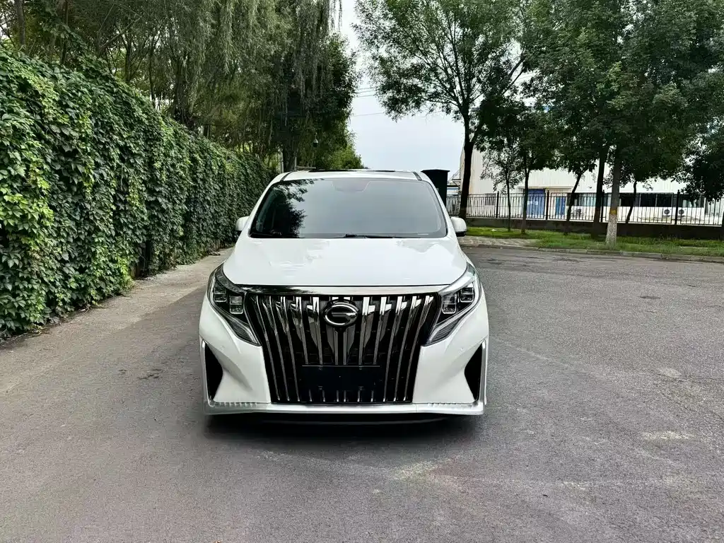 GAC Motor Trumpchi M8 — миниатюра 2