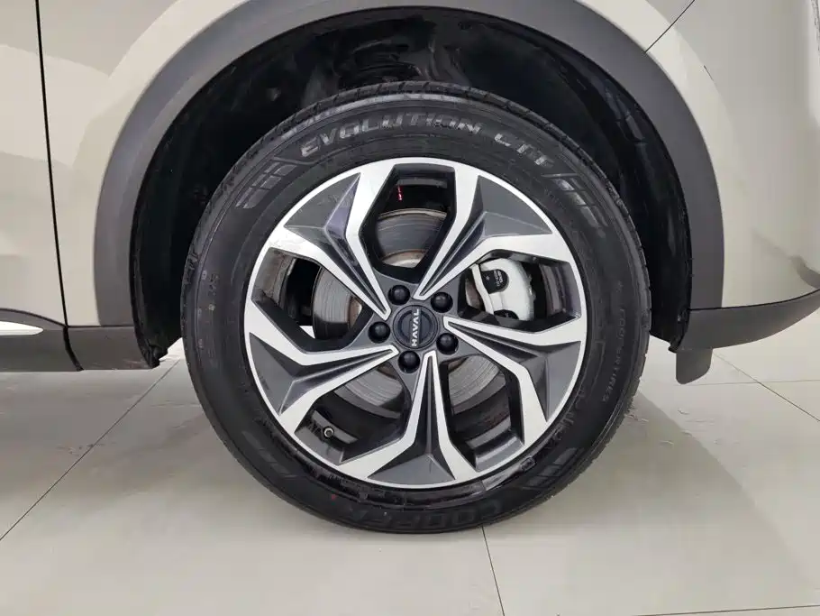Haval Xiaolong MAX — миниатюра 6