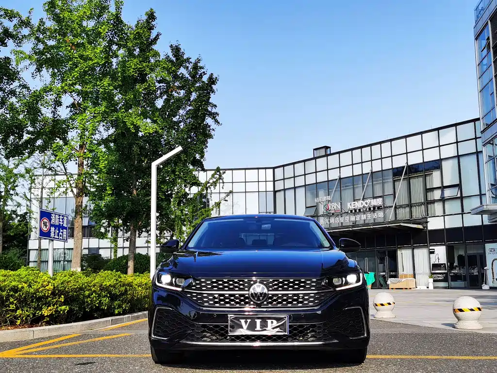 Volkswagen Passat — миниатюра 2