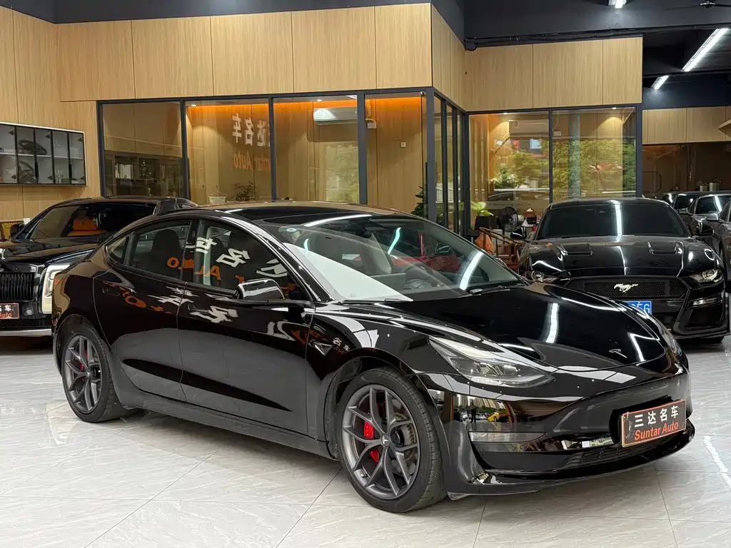 Tesla Model 3 — миниатюра 3