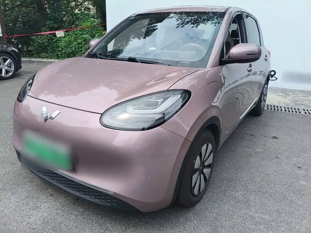Wuling Bingo