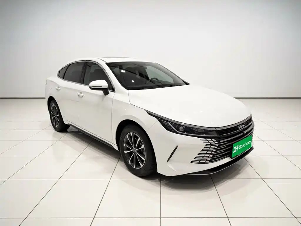 BYD Destroyer 05 — миниатюра 3