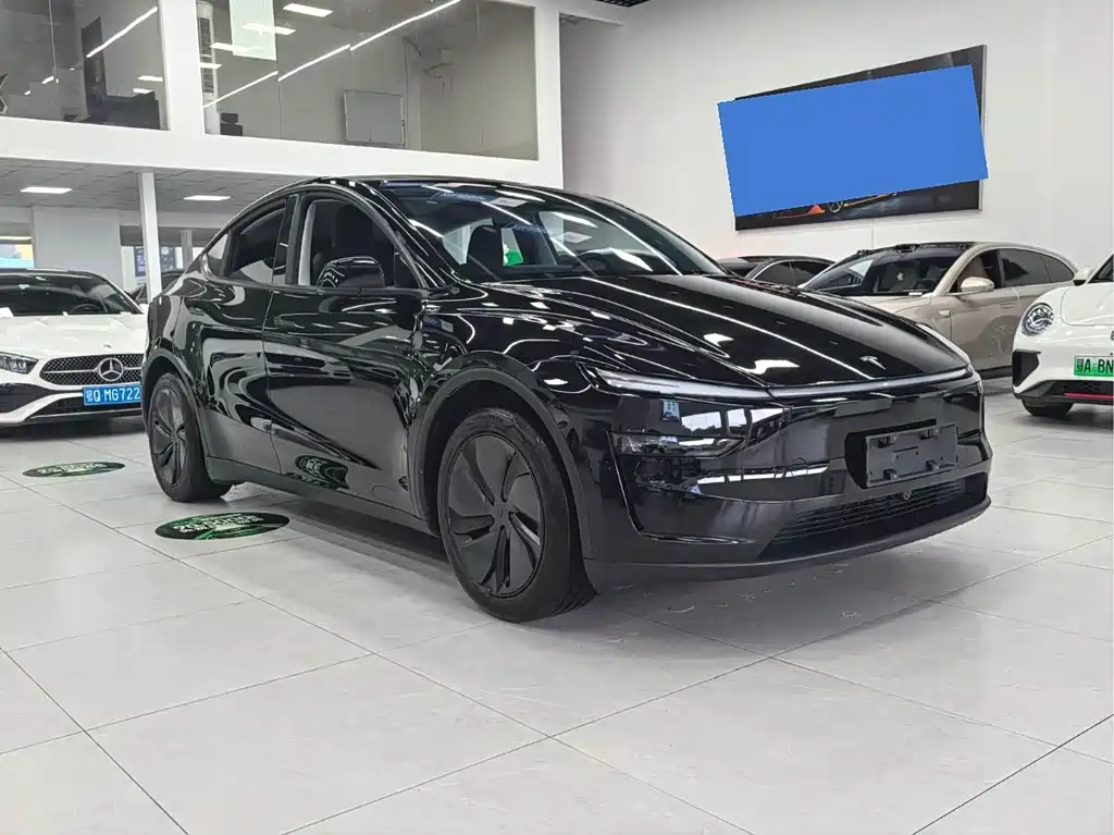 Tesla Model Y — миниатюра 3