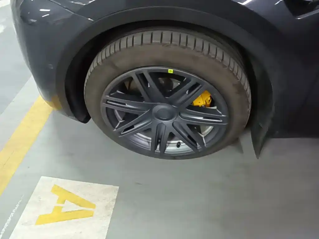 Tesla Model Y — миниатюра 23