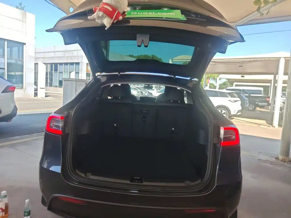 Tesla Model Y — миниатюра 19