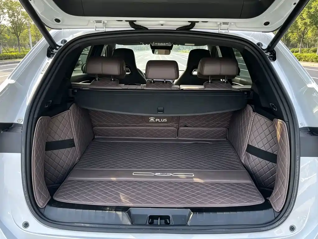 BYD PLUS New Energy — миниатюра 10