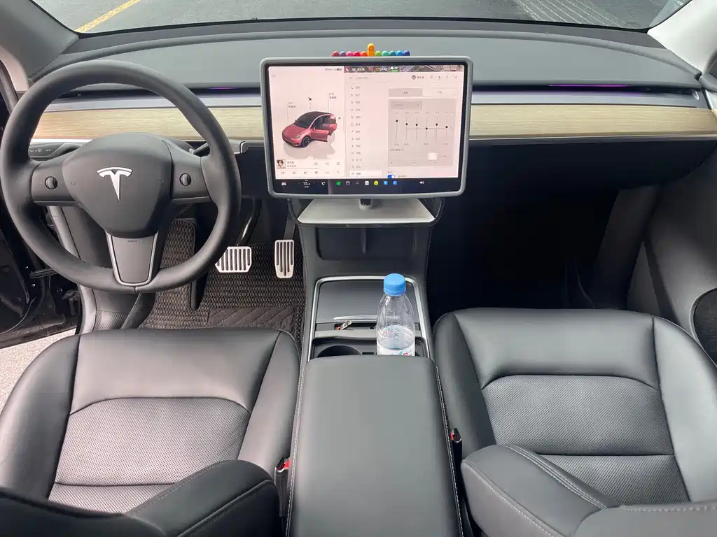 Tesla Model Y — миниатюра 9