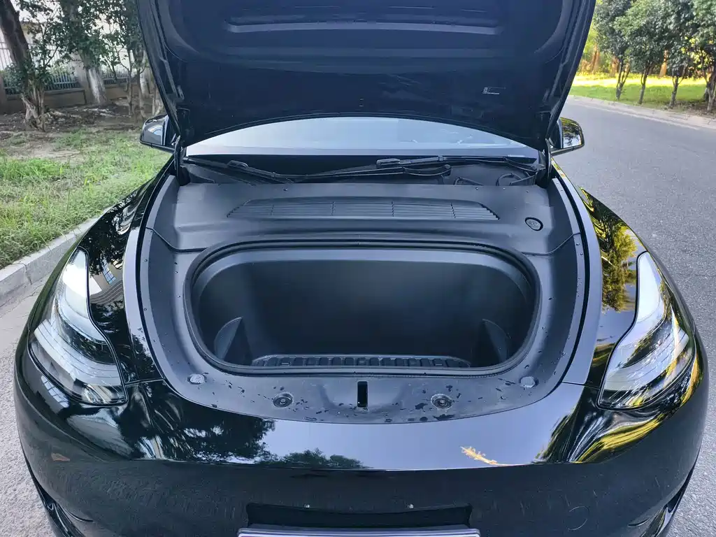 Tesla Model Y — миниатюра 18