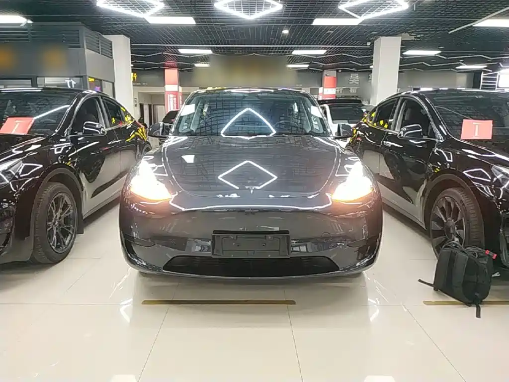 Tesla Model Y — миниатюра 3