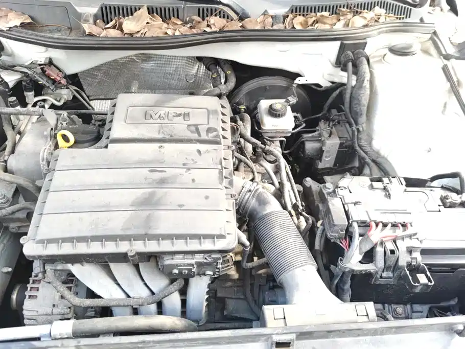 Volkswagen Gran Lavida — миниатюра 10