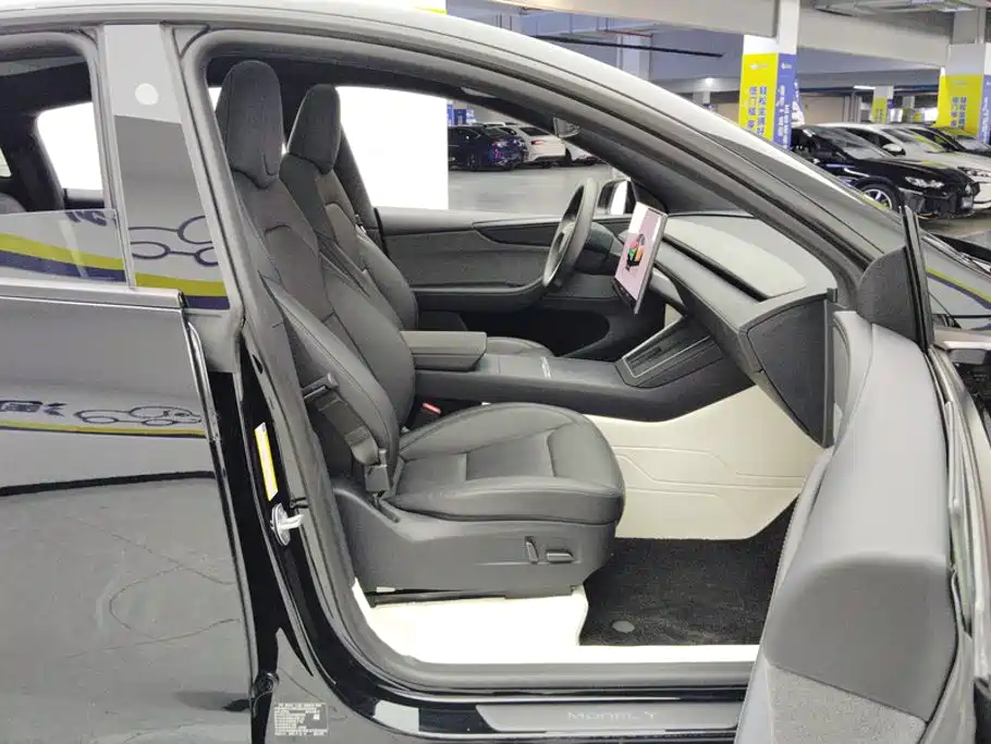 Tesla Model Y — миниатюра 8