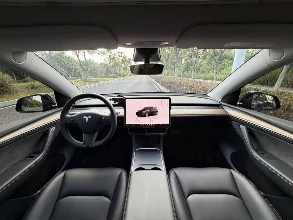 Tesla Model Y — миниатюра 11