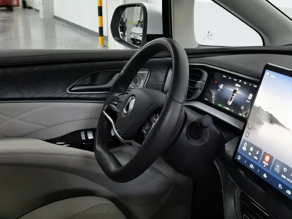 Denza Denza D9 — миниатюра 22