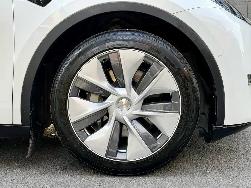 Tesla Model Y — миниатюра 4