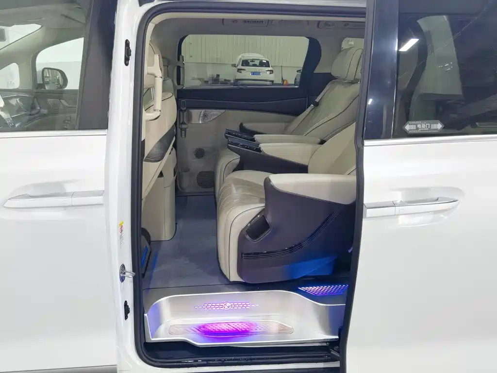 Denza Denza D9 — миниатюра 15