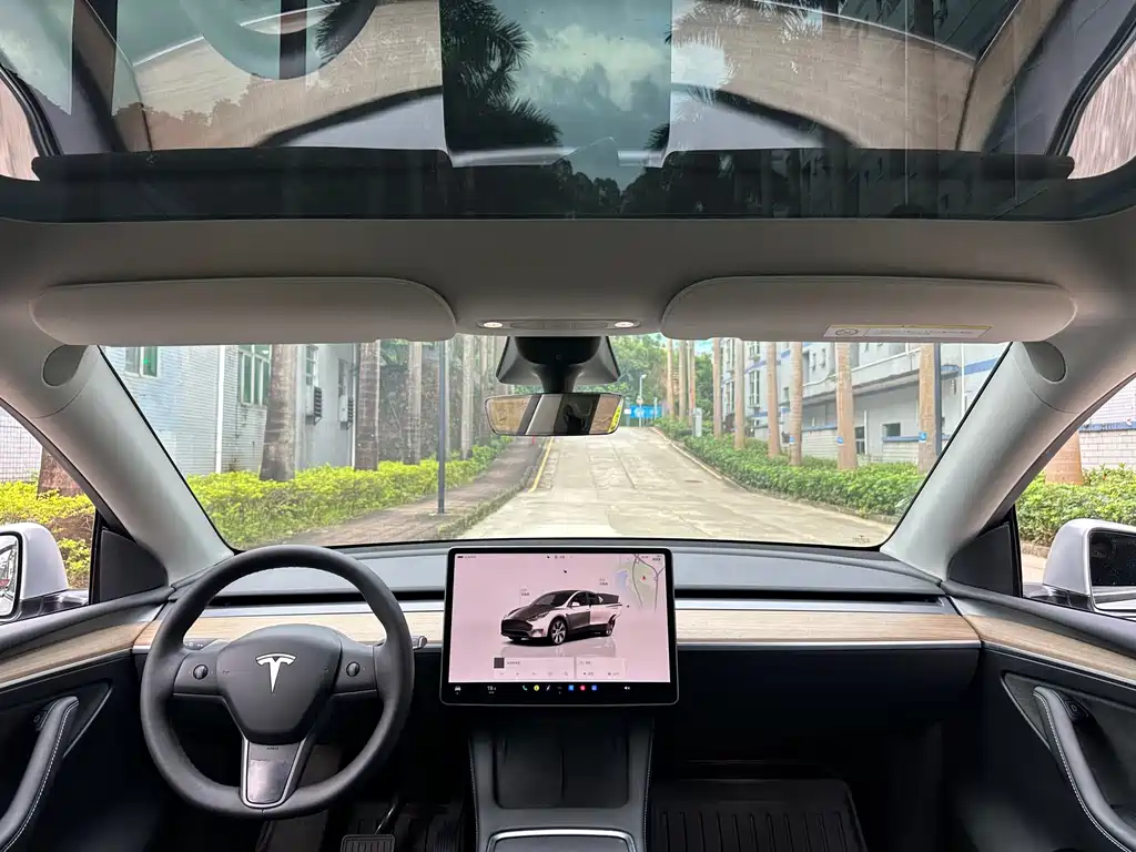 Tesla Model Y — миниатюра 15
