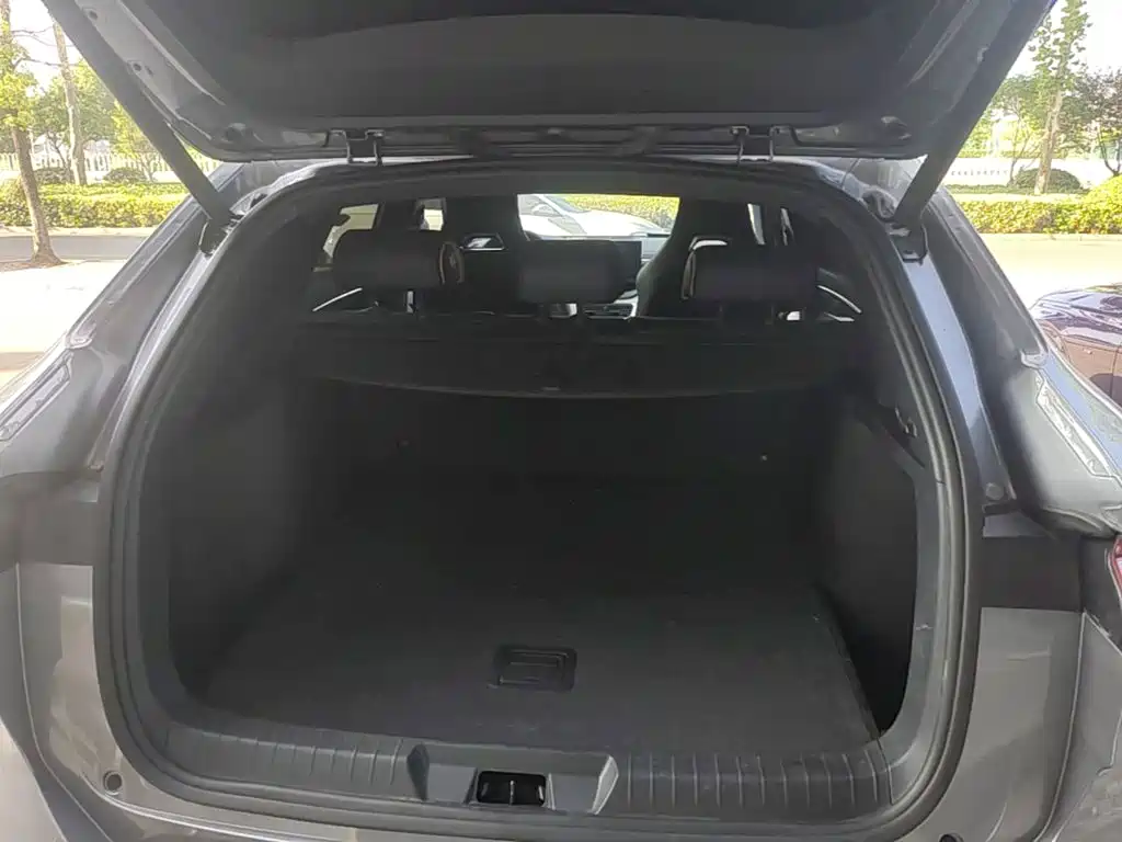 BYD PLUS New Energy — миниатюра 19