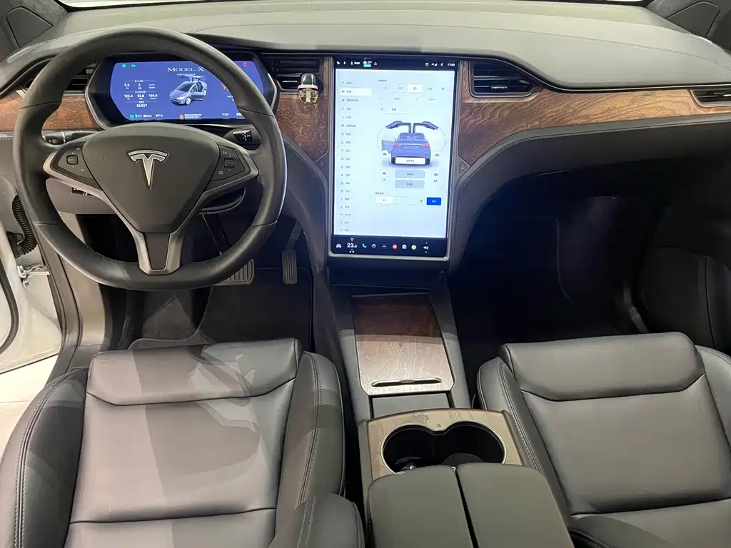 Tesla Model X — миниатюра 10