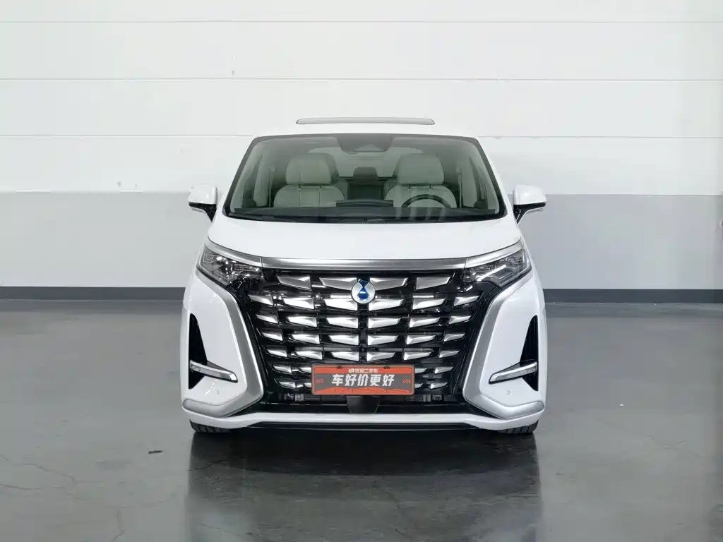 Denza Denza D9 — миниатюра 3