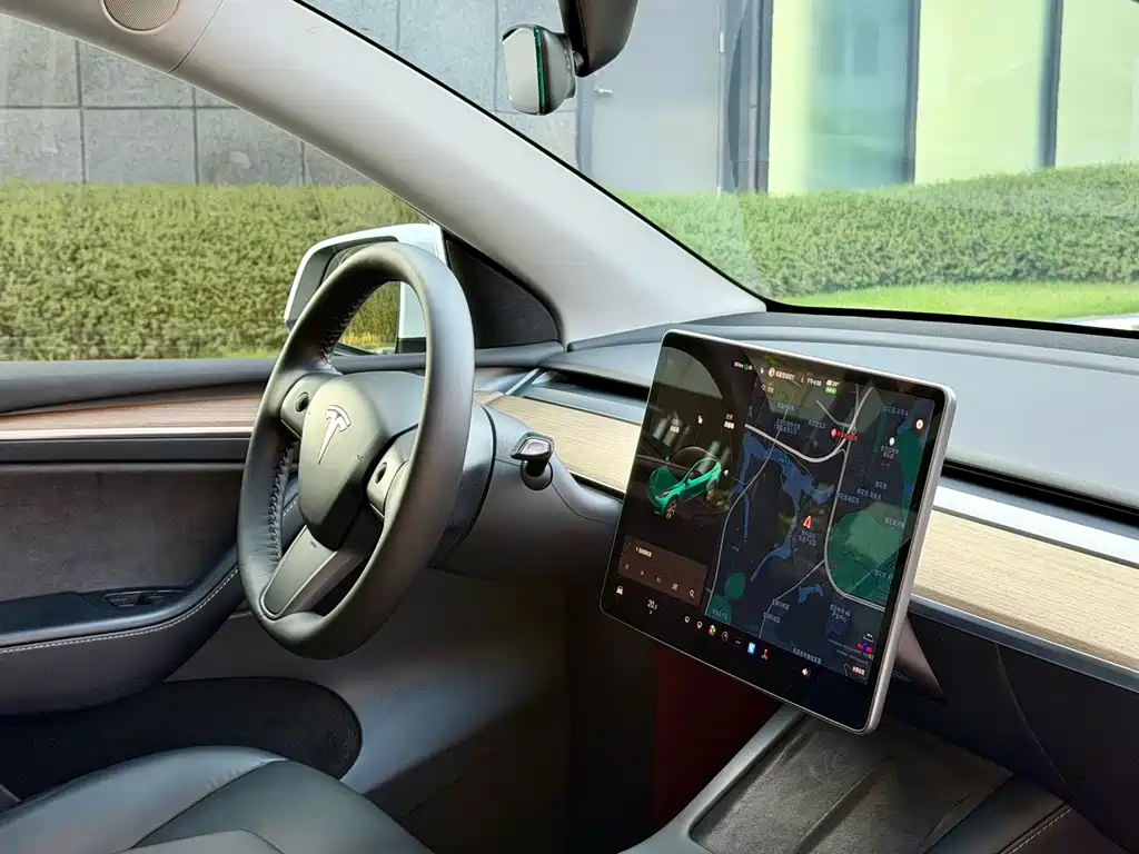 Tesla Model Y — миниатюра 13
