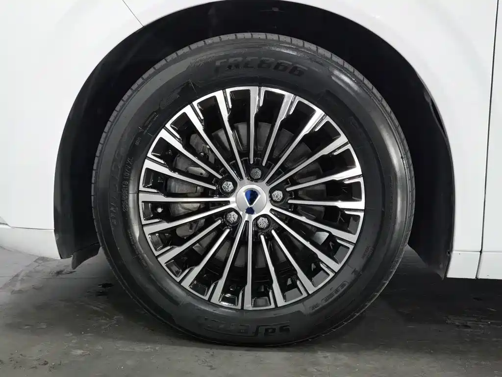 Denza Denza D9 — миниатюра 17