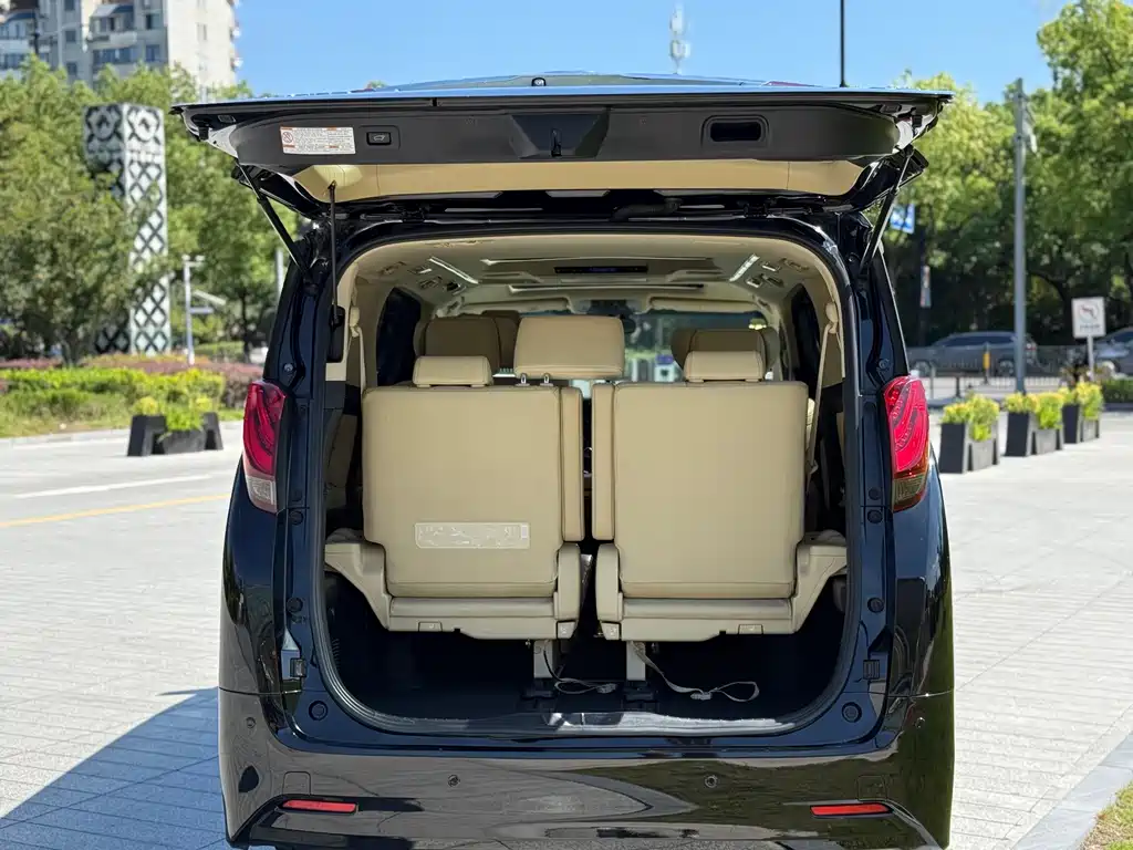 Toyota Alphard — миниатюра 26