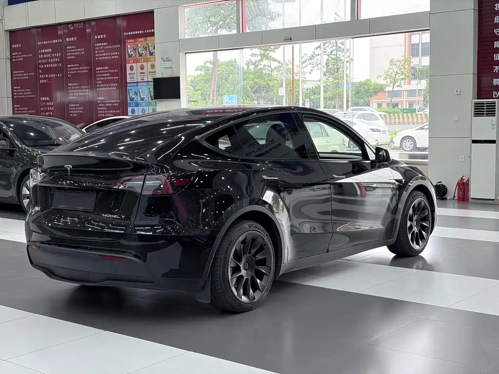Tesla Model Y — миниатюра 4