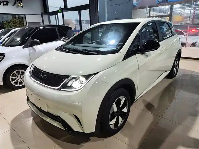 BYD DOLPHIN 2025