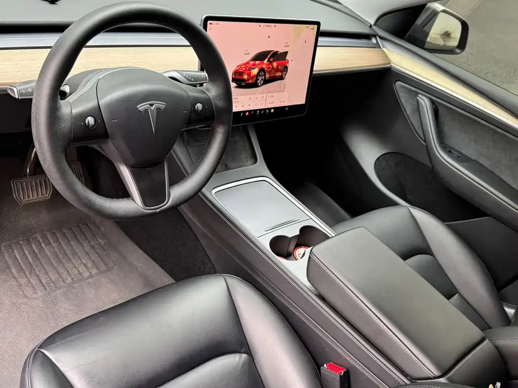 Tesla Model Y — миниатюра 7