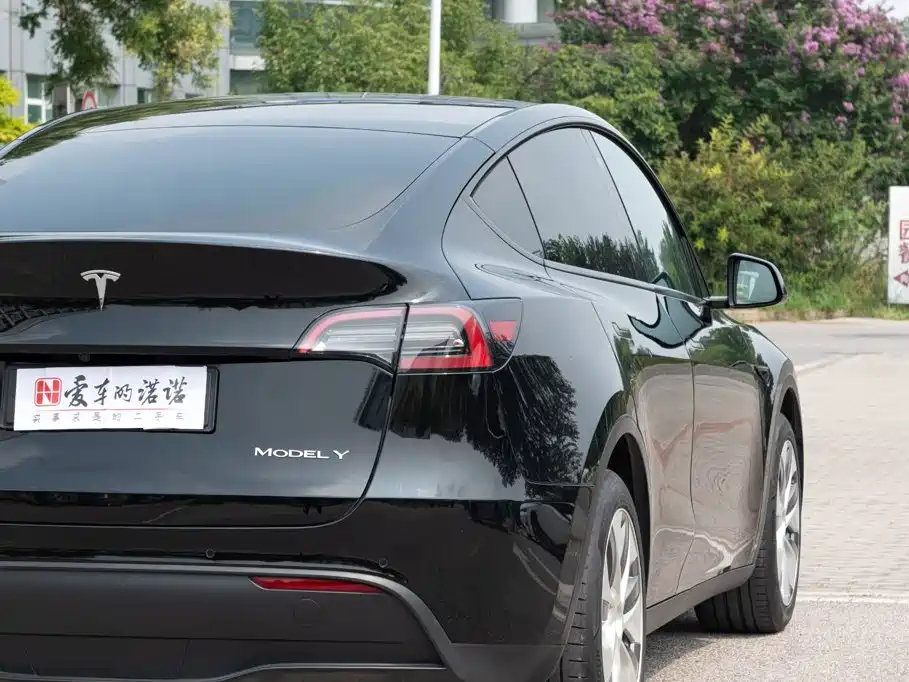 Tesla Model Y — миниатюра 2