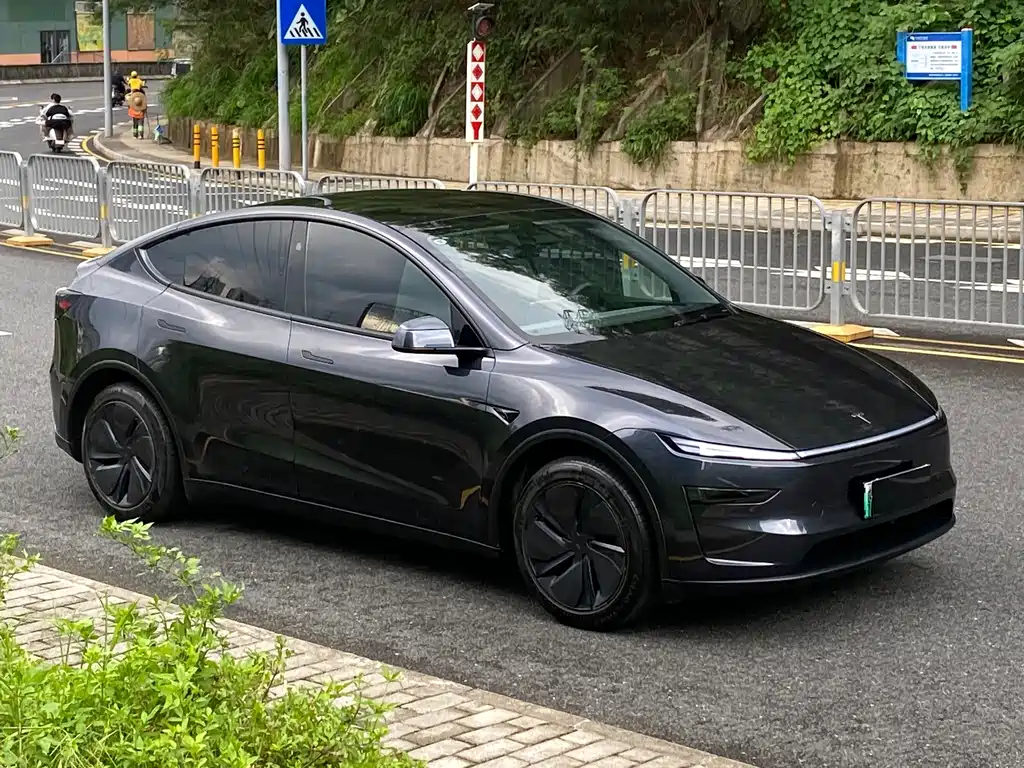 Tesla Model Y — миниатюра 3