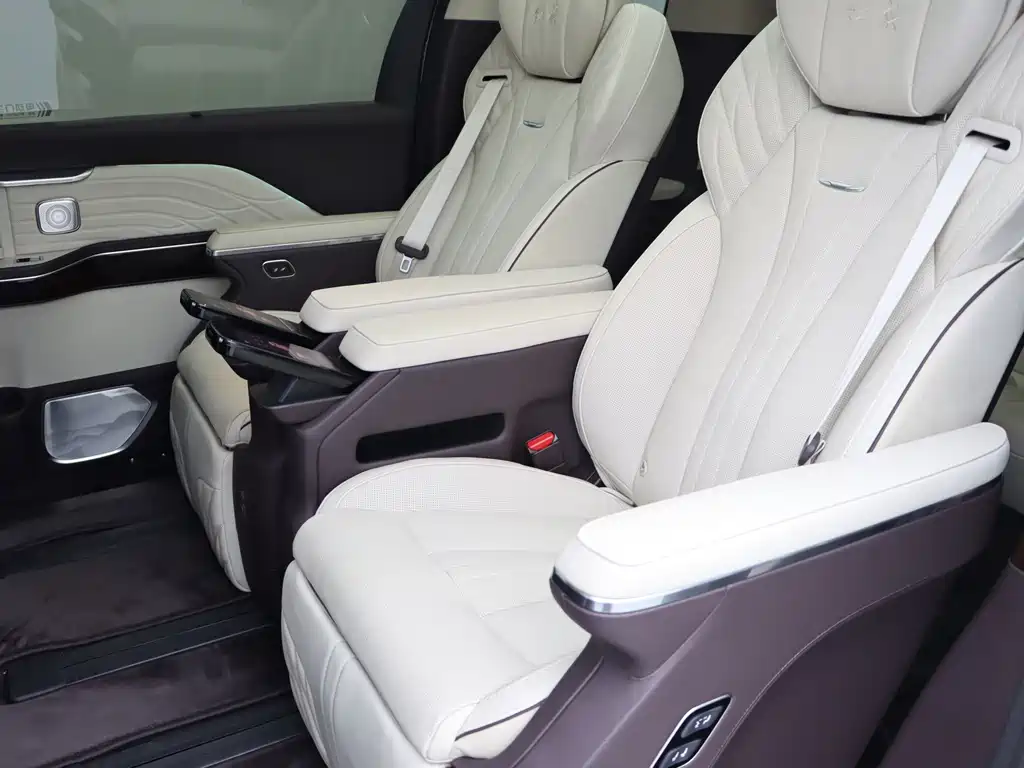 Hongqi Hongqi HQ9 — миниатюра 17