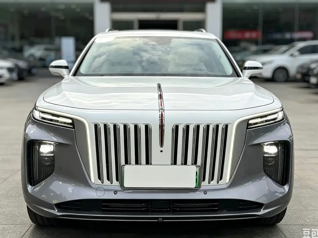 Hongqi Hongqi E-HS9 — миниатюра 2