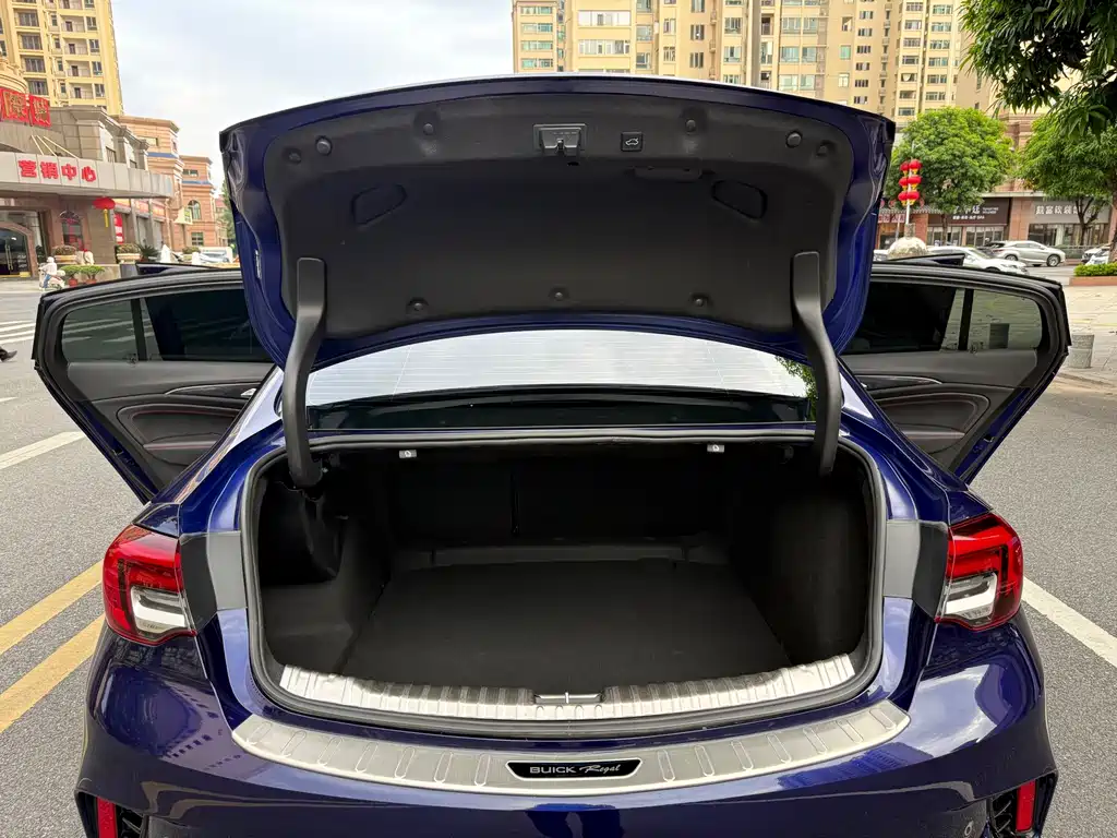 Buick Regal — миниатюра 17