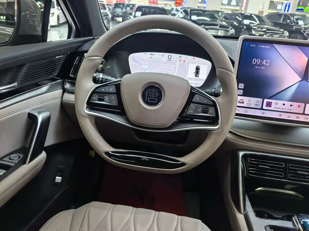 BYD Tang New Energy — миниатюра 10