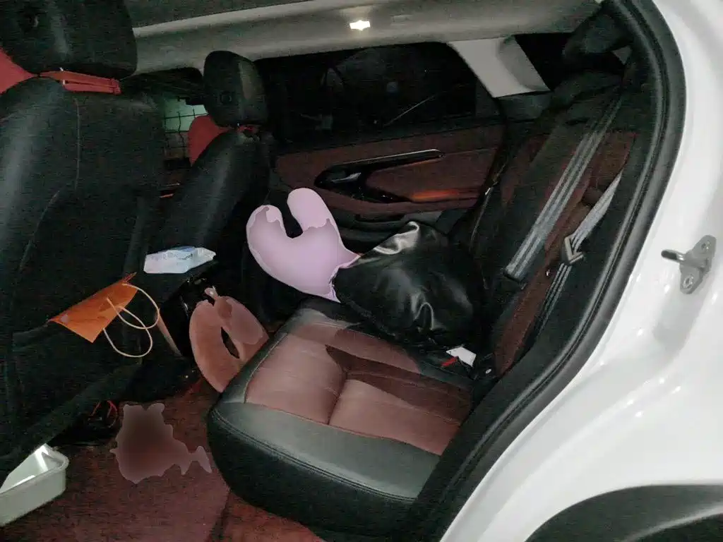 Land Rover Evoque PHEV — миниатюра 13