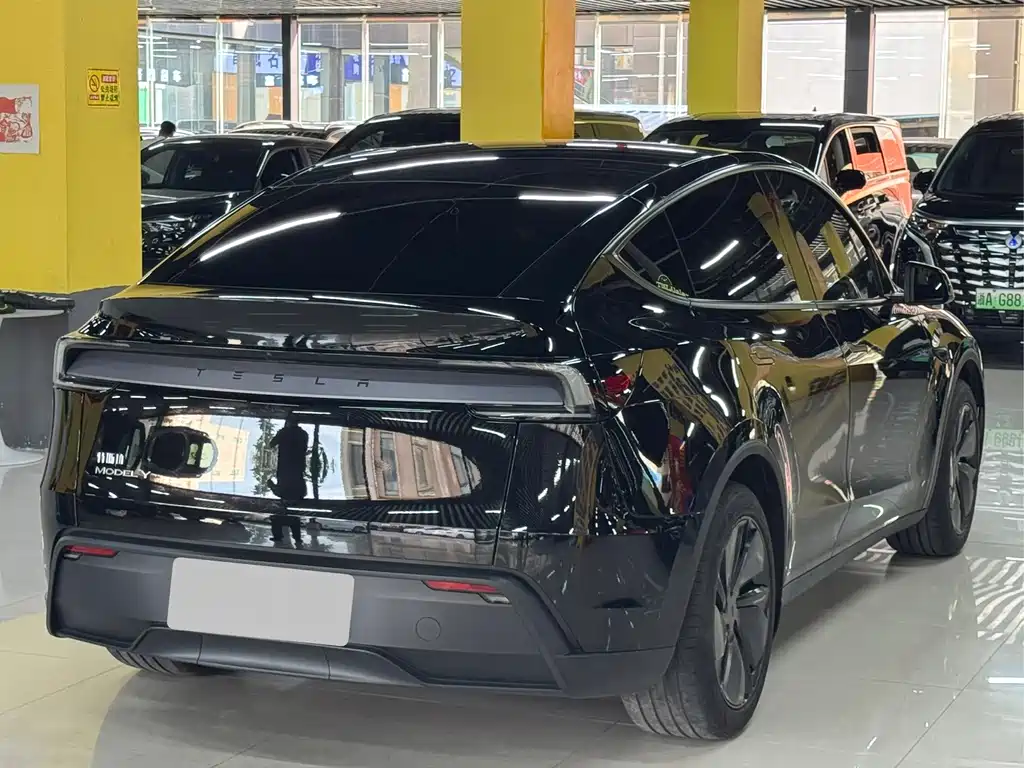 Tesla Model Y — миниатюра 14