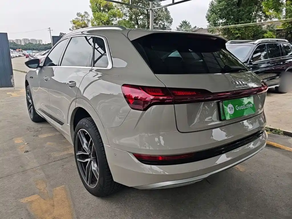 Audi e-tron (Import) — миниатюра 5
