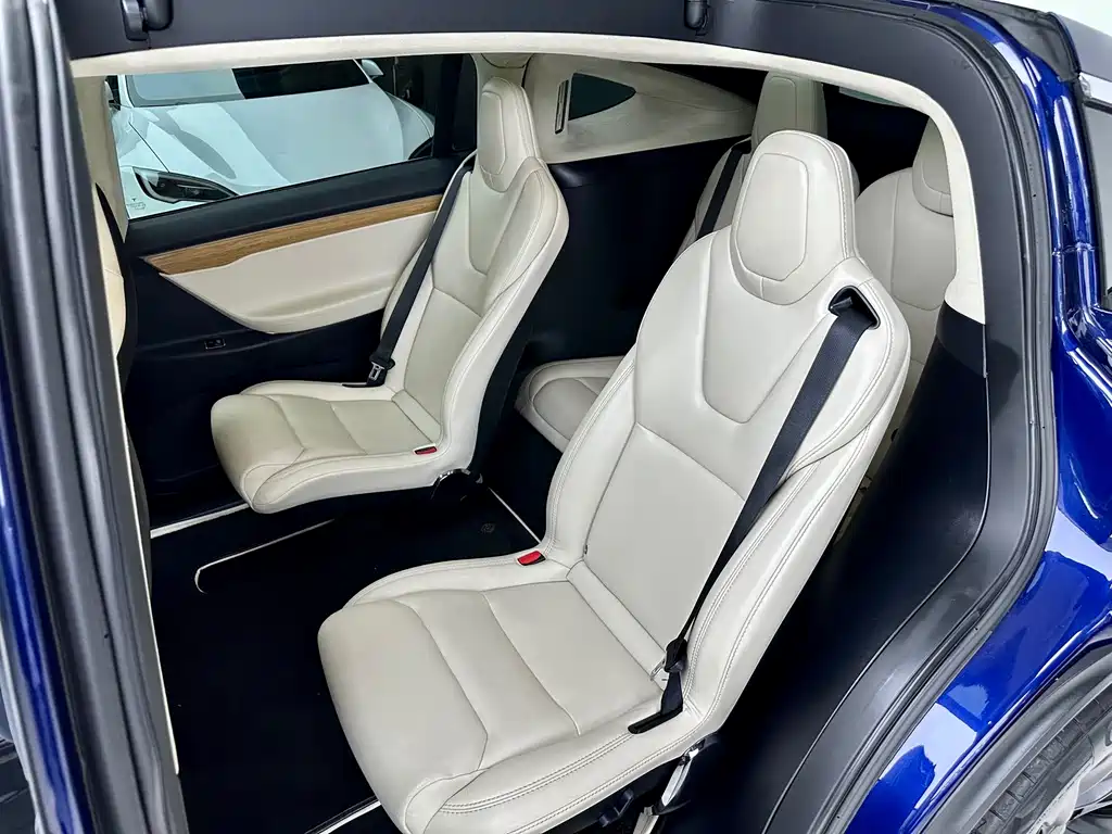 Tesla Model X — миниатюра 9