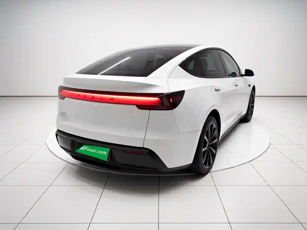Tesla Model Y — миниатюра 4