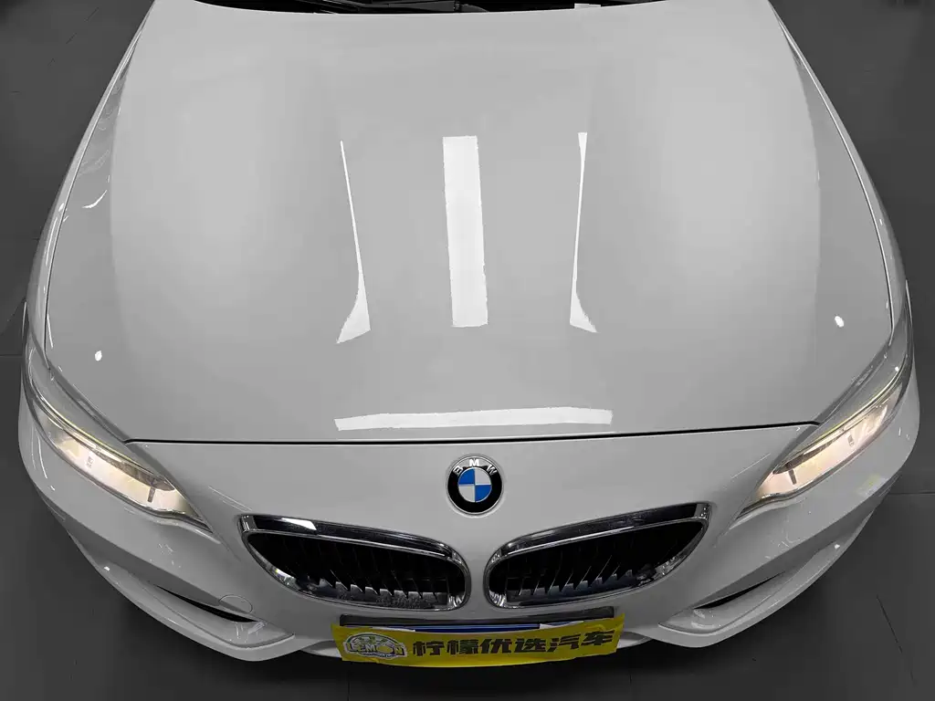 BMW 2 Series 2 2014 220i Lead