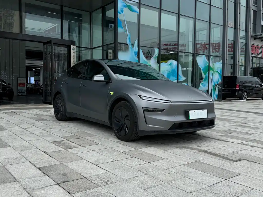 Tesla Model Y — миниатюра 3