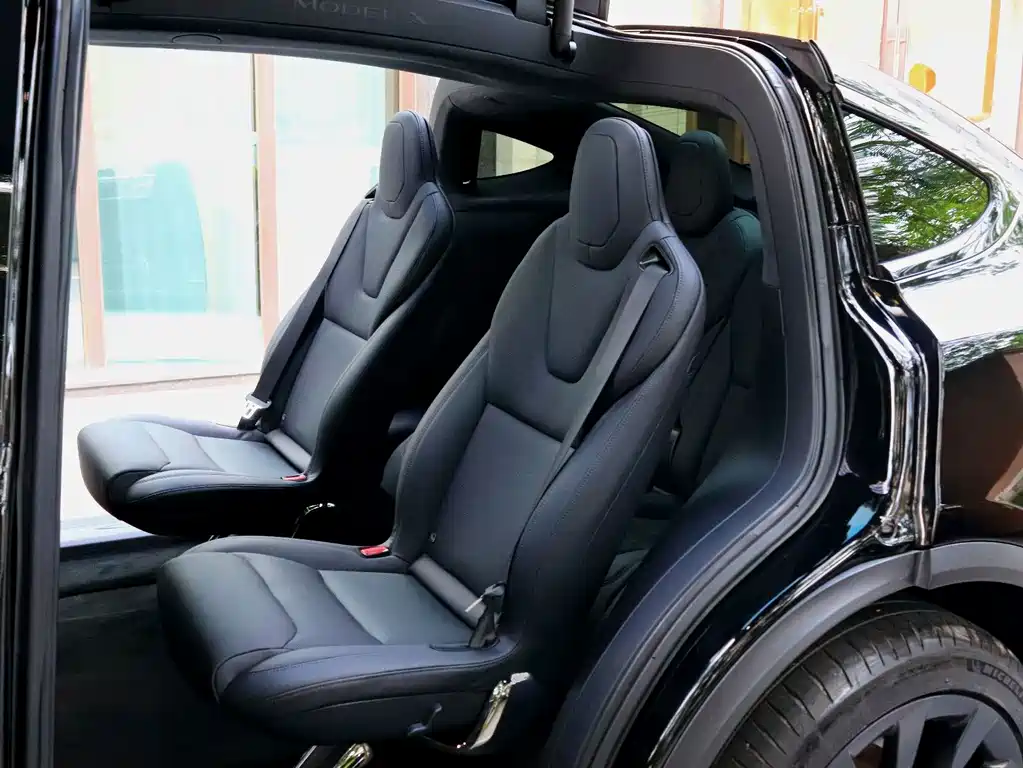 Tesla Model X — миниатюра 6