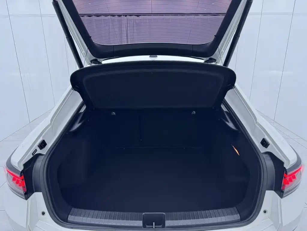 Volkswagen Lamando — миниатюра 15