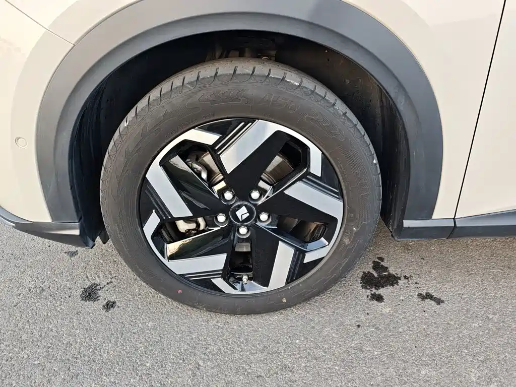 Baojun Yunhai — миниатюра 23