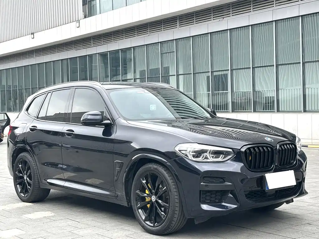 BMW X3 — миниатюра 3